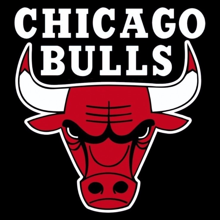 Charlotte Hornets vs. Chicago Bulls