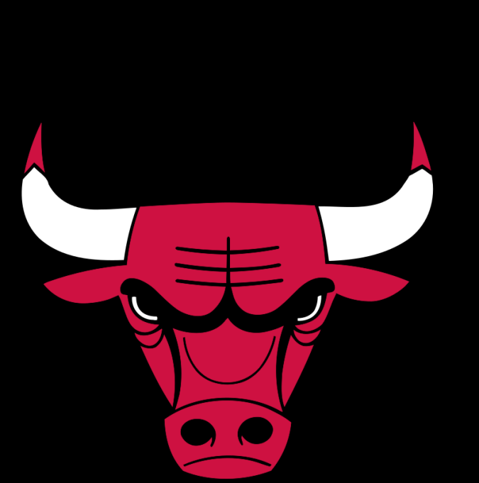 Charlotte Hornets vs. Chicago Bulls